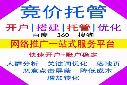 百度推广成功之路：从零到一的实战案例记录